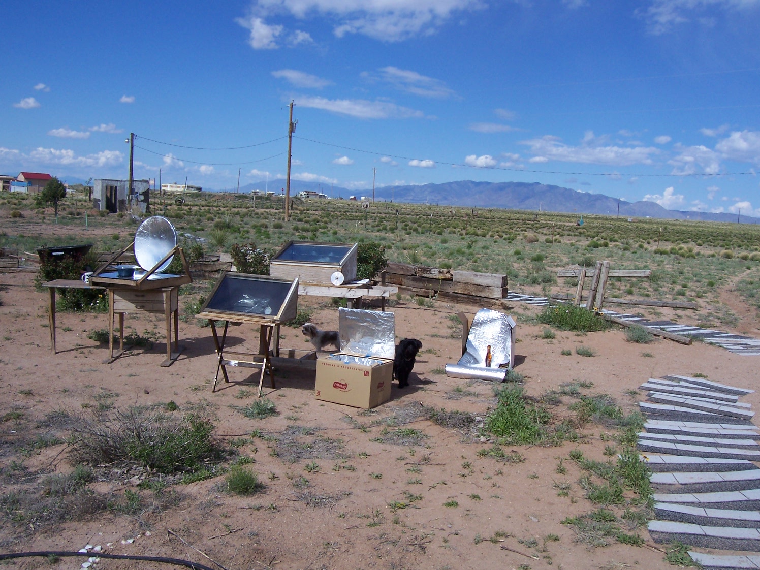 all five ovens